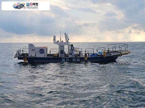 국산기타 어선 2018년식 3.00톤 허가포함 팝니다