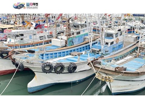 국산기타 어선 2013년식 어선 양식장관리선 9.77톤 코마스엔진-매매
