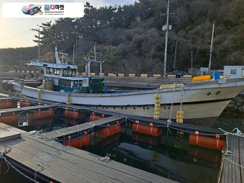 국산기타 어선 2000년식 9.77톤 연안복합어선 해상용 355마력