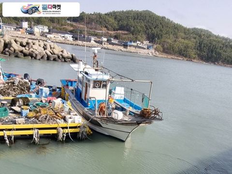 국산기타 어선 2013년식 2.99통발어선