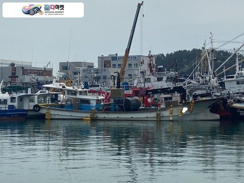 국산기타 작업선 2010년식 가두리양식장 크레인 어장관리선 판매합니다.  (활어시설.사료 프레스. 컨베이어 있고 기름탱크 올스텐 ...