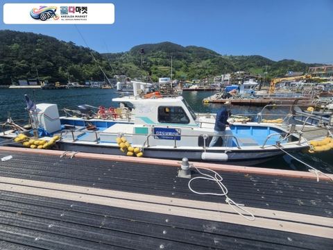 국산기타 어선 2014년식 경남 3.47톤 연안복합허가 낚시어선 판매합니다.