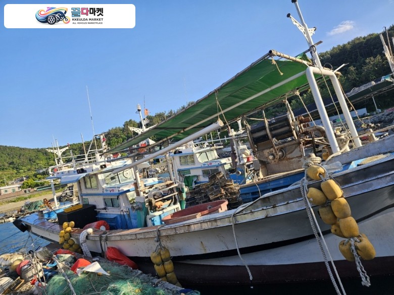 국산기타 어선 2019년식 전남 4.16톤 연안자망허가 어선 판매합니다. (선체만 판매가능.전국가능)