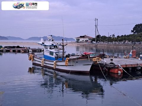국산기타 어선 2009년식 4.39톤 연안자망허가(경남) 어선 판매합니다..