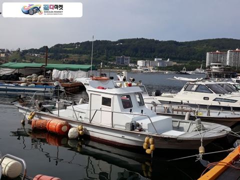 국산기타 낚시보트 2005년식 신성호