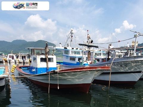 국산기타 어선 1998년식 어선 2.78톤 디젤 150hp