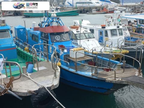 국산기타 어선 2007년식 전남 5.16톤 연안복합허가 낚시어선 판매합니다.