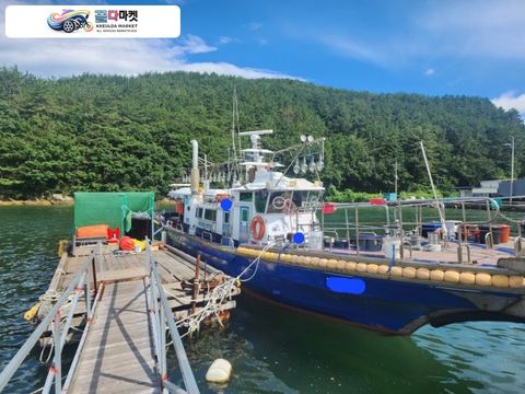 국산기타 어선 2016년식 경남 7.93톤 연안자망허가 낚시어선 판매합니다. (올해 개방검사완료)