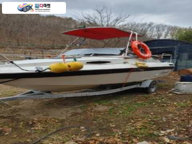 수입기타 레저형보트 2010년식 낚시보트 19피트