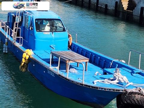 국산기타 낚시보트 2015년식 다목적레저보트