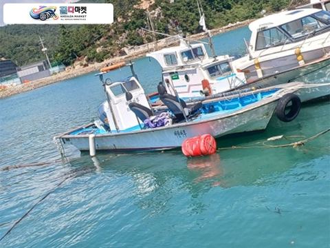 국산기타 어선 2002년식 어선레져선
