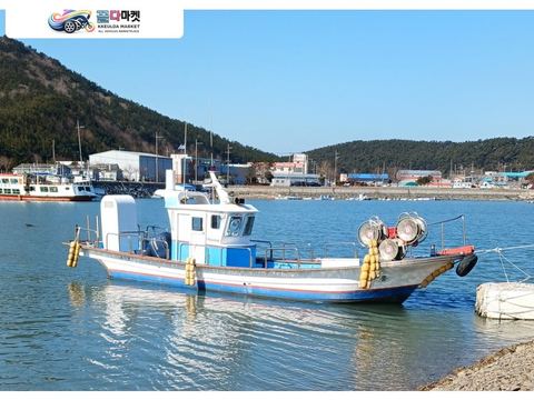 국산기타 어선 2018년식 국내 선외기 어선 3.5톤 팝니다. 