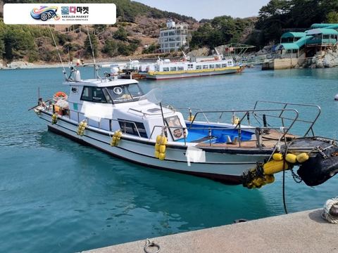 국산기타 어선 2001년식 낚시선 연안복합 7.31톤 판매