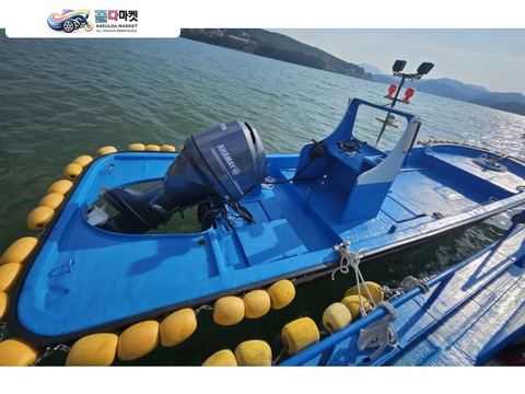 국산기타 레져형보트 2010년식 레져선 0.67톤 선외기 115마력 판매합니다.