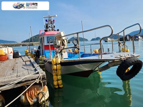 국산기타 어선 2023년식 경남 2.99톤 연안복합허가 낚시어선 판매합니다.