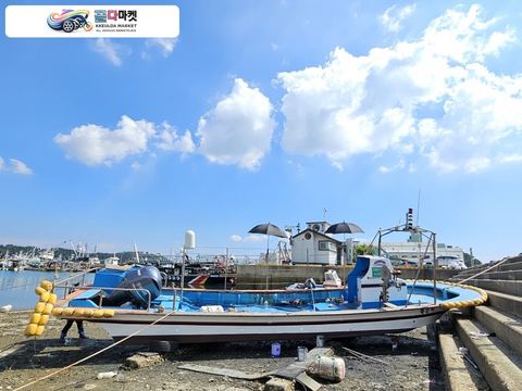 국산기타 어선 2014년식 바로 돈벌수있는 경남 1.96톤 통발+복합 어선 판매합니다.