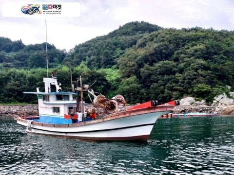 국산기타 어선 2010년식 경남 1.99톤 연안통발허가 어선 판매합니다.