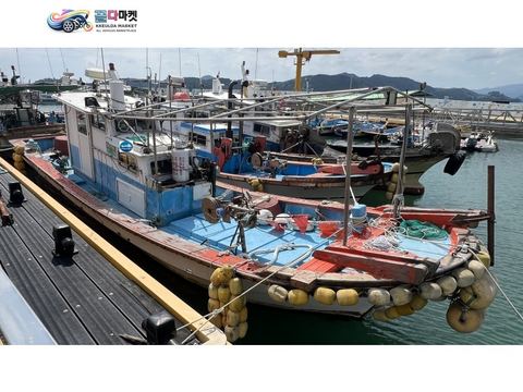 국산기타 어선 2009년식 경남 3.00톤 연안복합 어선 판매