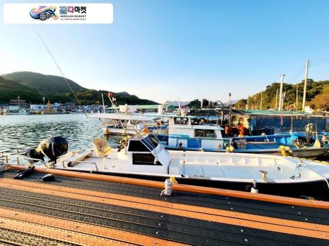 국산기타 낚시보트 2022년식 레져선 1.98톤 선외기 350마력 판매합니다. (기루있고.선실 있습니다.)