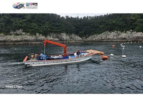 국산기타 작업선 2004년식 어장관리선 저렴하게 팝니다 (허가별도구매가능)
