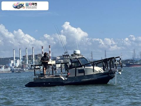 국산기타 낚시보트 2022년식 네이처보트 라온다 650(실측680)