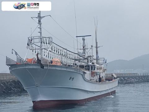 국산기타 어선 2019년식 근해채낚기24톤