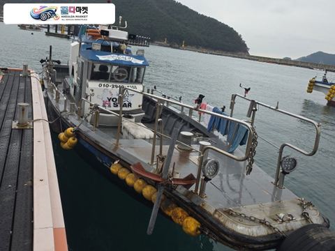 국산기타 어선 2018년식 해원몰드 3톤 경남복합허가 포함 팝니다.