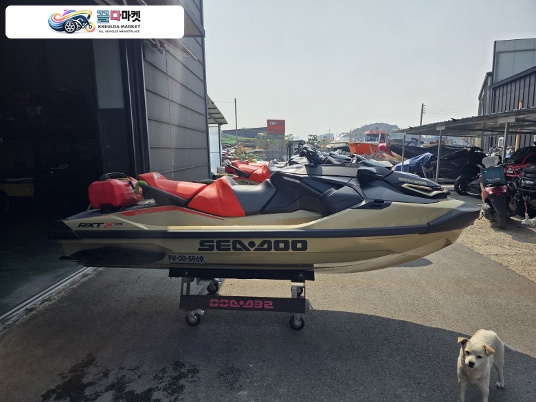 씨두 RXT X 325 2025년식 씨두 RTX 325