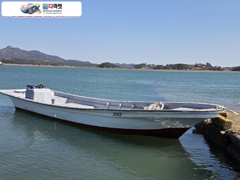FC 31