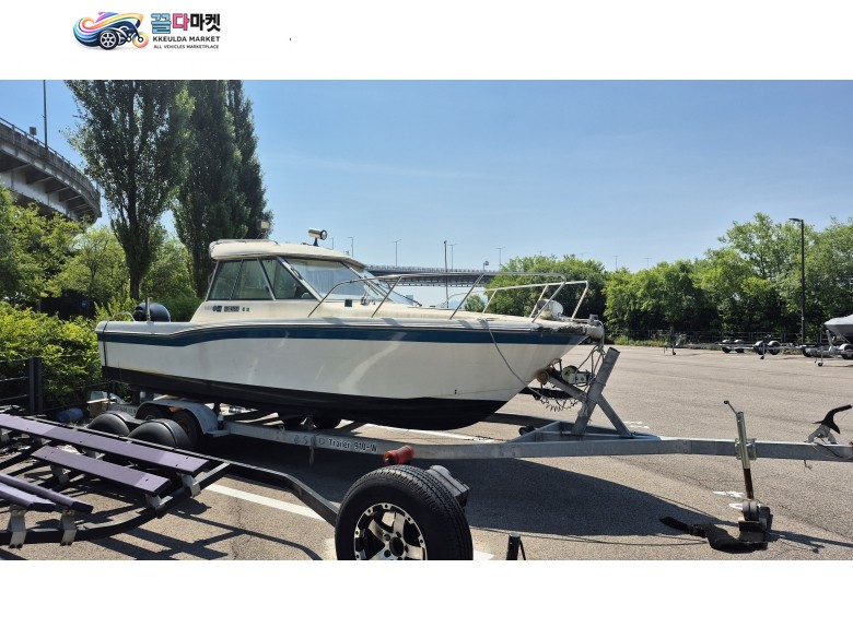 FC 24