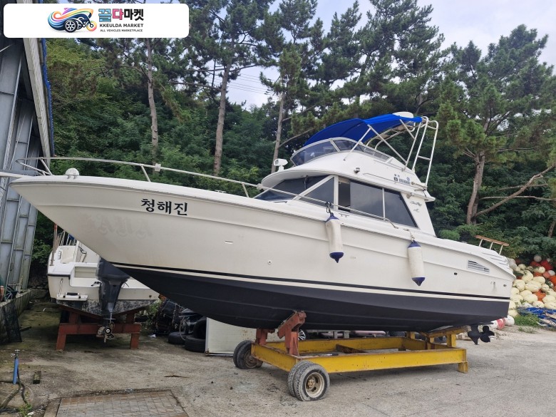 씨레이 290 2001년식 씨레이29 FB 판매 합니다